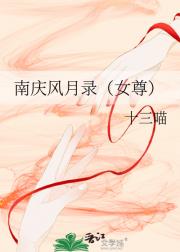 南庆风月录（女尊）