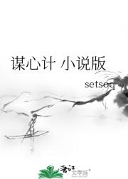 谋心计 小说版