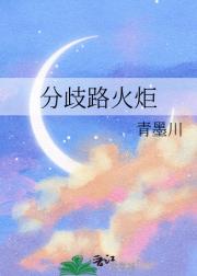 分歧路火炬
