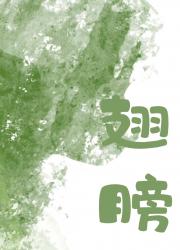 穿成当红偶像的翅膀