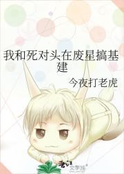 我和死对头在废星搞基建
