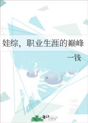 娃综，职业生涯的巅峰