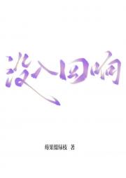 没入回响