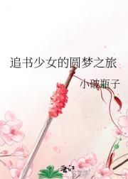 追书少女的圆梦之旅