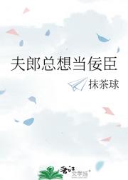 夫郎总想当佞臣