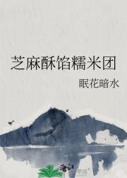 芝麻酥馅糯米团