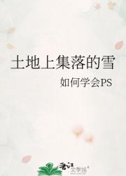 土地上集落的雪