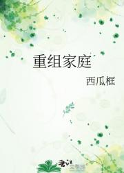 重组家庭