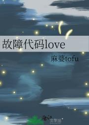 故障代码love