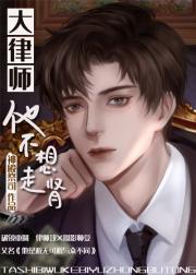 大律师，好久不见