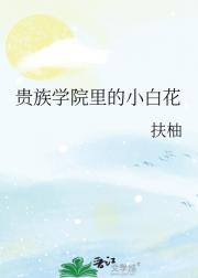 贵族学院里的小白花