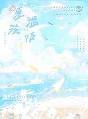 夏夜温情