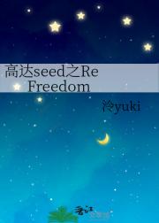 高达seed之Re Freedom