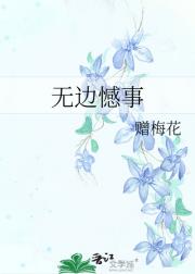 无边憾事