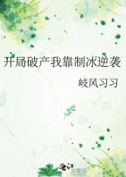 开局破产我靠制冰逆袭