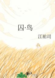 囚·鸟