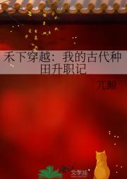禾下穿越：我的古代种田升职记