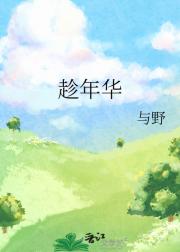 趁年华