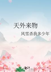 天外来物