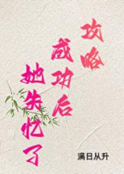攻略成功后她失忆了
