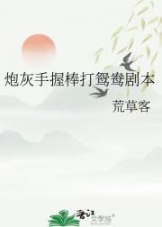 炮灰手握棒打鸳鸯剧本