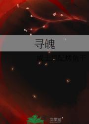寻魄