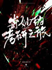 奇妙的考研之旅