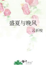 盛夏与晚风