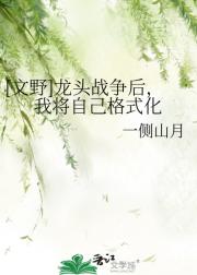 [文野]龙头战争后，我将自己格式化
