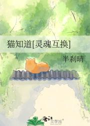 猫知道[灵魂互换]