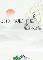 2310“战地”日记