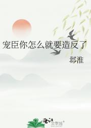 宠臣你怎么就要造反了