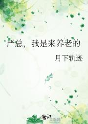 严总，我是来养老的
