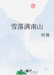 雪落满南山
