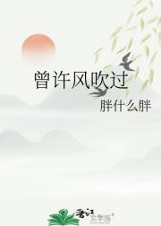 曾许风吹过