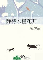 静待木槿花开