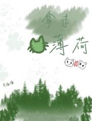 拿走猫薄荷