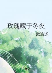 玫瑰藏于冬夜