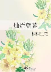 灿烂朝暮