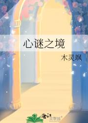 心谜之境