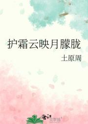 护霜云映月朦胧