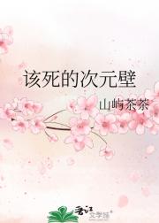 该死的次元壁