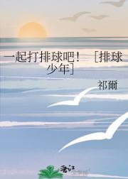 一起打排球吧！［排球少年］