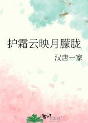 护霜云映月朦胧