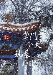 掌门今天筑基了吗