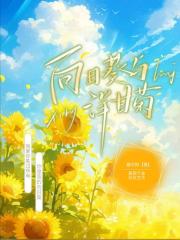 向日葵与洋甘菊