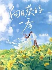 向日葵的一季