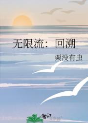 无限流：回溯