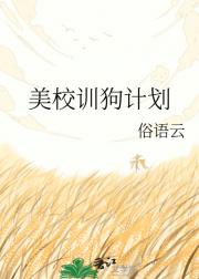 美校训狗计划