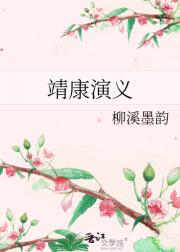 靖康演义